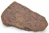 Chondrite Meteorite ( g) - Western Sahara Desert #226934-1